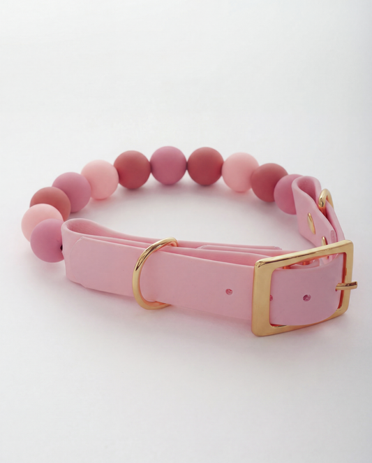 Rosé — Bows & Paws Collar