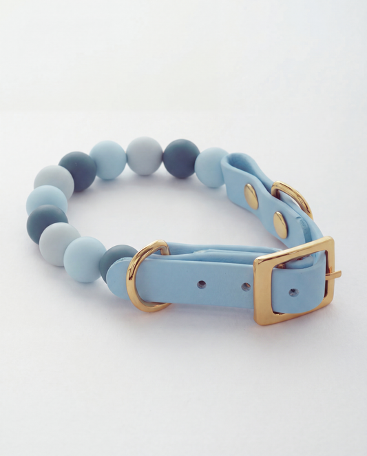 Sky Breeze — Bows & Paws Collar