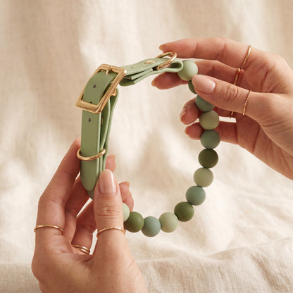 Sage Garden — Bows & Paws Collar