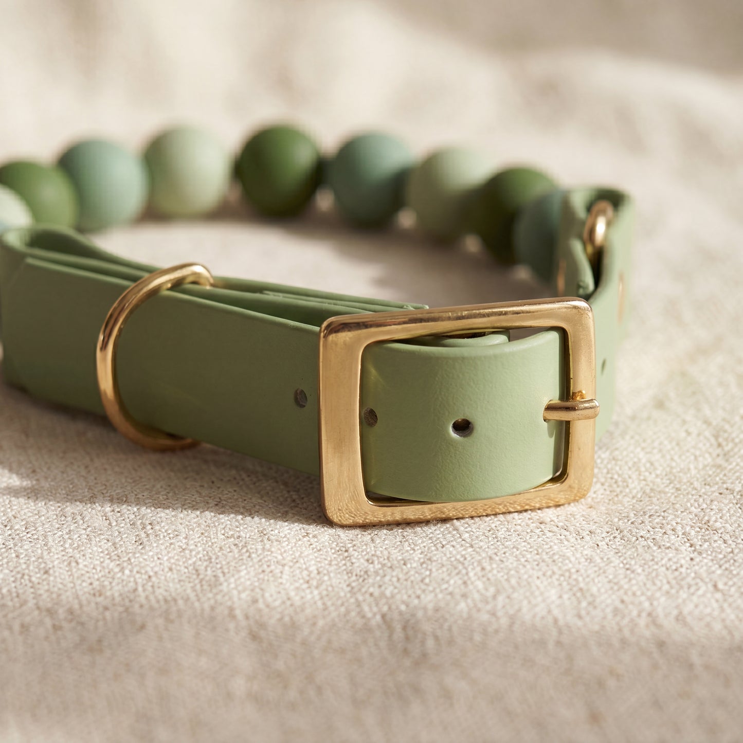 Sage Garden — Bows & Paws Collar
