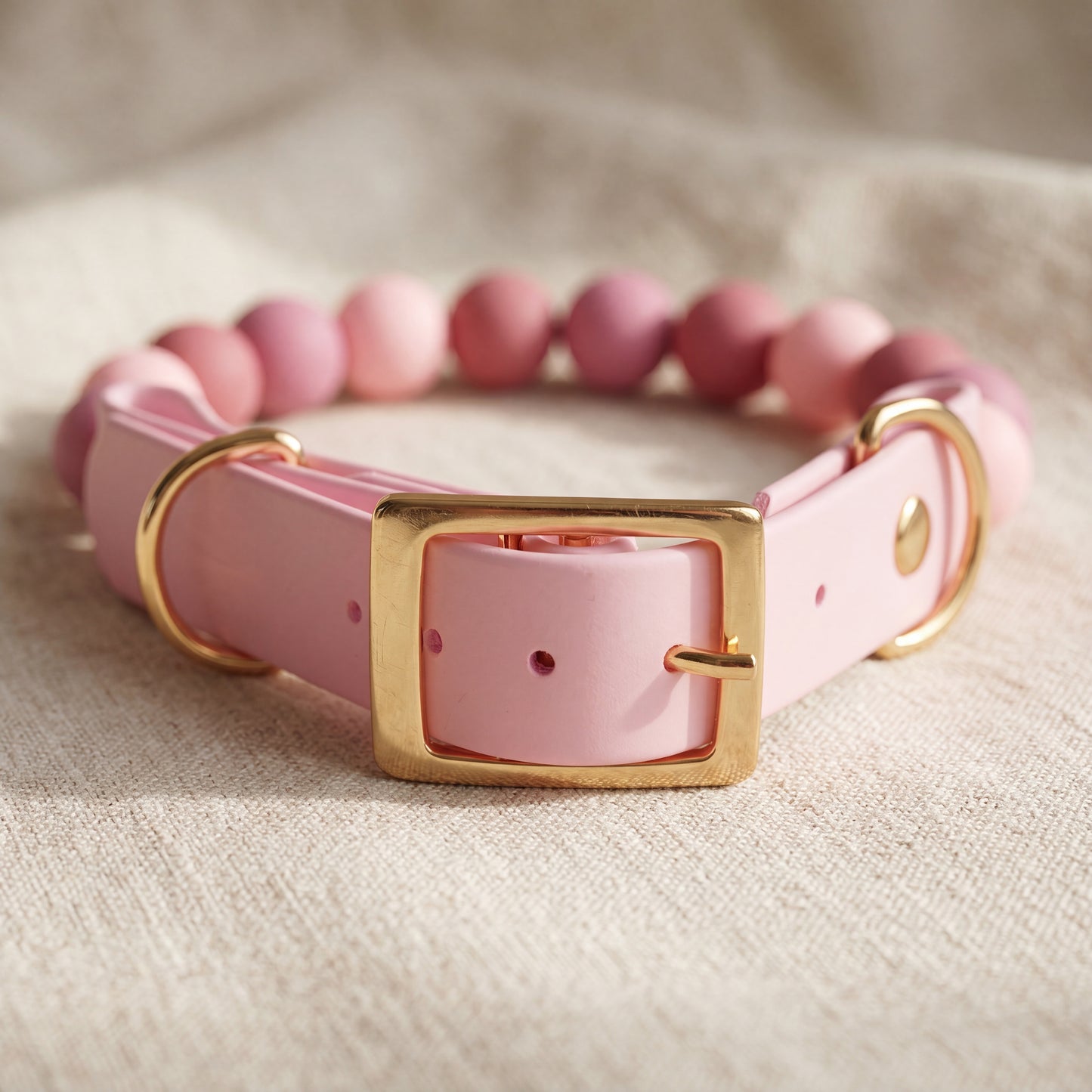 Rosé  — Bows & Paws Collar