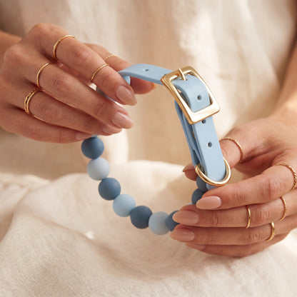 Sky Breeze — Bows & Paws Collar